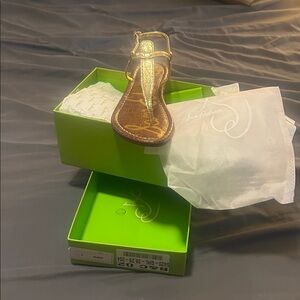 Golden Sam Edelman size 8
Brand new shoes in box beautiful Golden sandals